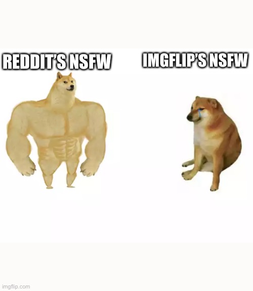 Buff Doge vs. Cheems Meme | IMGFLIP’S NSFW; REDDIT’S NSFW | image tagged in buff doge vs cheems | made w/ Imgflip meme maker