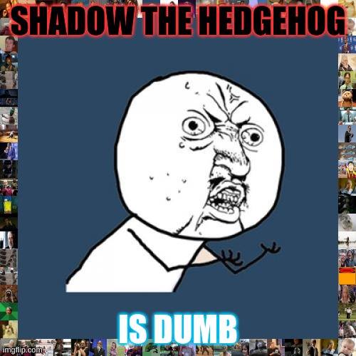 Y U No | SHADOW THE HEDGEHOG; IS DUMB | image tagged in memes,y u no | made w/ Imgflip meme maker