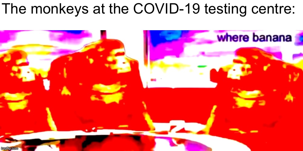 Where banana *deep fried* | The monkeys at the COVID-19 testing centre: | image tagged in where banana deep fried | made w/ Imgflip meme maker