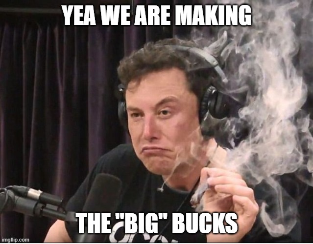 Elon Musk smoking a joint | YEA WE ARE MAKING THE "BIG" BUCKS | image tagged in elon musk smoking a joint | made w/ Imgflip meme maker