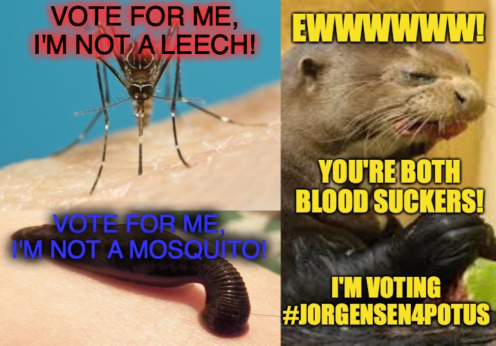 Liberty Otter says, "Ewwww" | VOTE FOR ME, I'M NOT A LEECH! EWWWWWW! YOU'RE BOTH BLOOD SUCKERS! VOTE FOR ME, I'M NOT A MOSQUITO! I'M VOTING #JORGENSEN4POTUS | image tagged in disgusted otter,leech sanguisuga,good guy mosquito,election 2020,presidential race,liberty | made w/ Imgflip meme maker