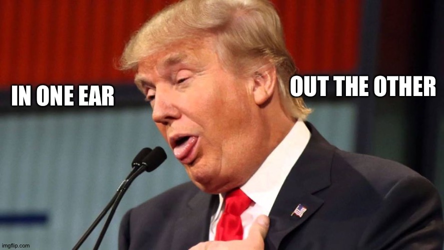 Stupid trump | IN ONE EAR OUT THE OTHER | image tagged in stupid trump | made w/ Imgflip meme maker