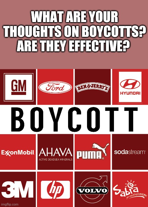 WHAT ARE YOUR THOUGHTS ON BOYCOTTS? ARE THEY EFFECTIVE? | made w/ Imgflip meme maker