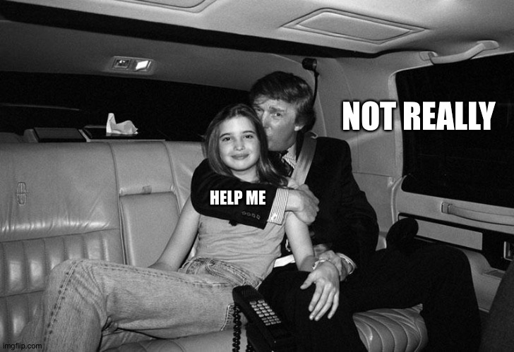 Donald Trump Ivanka | NOT REALLY HELP ME | image tagged in donald trump ivanka | made w/ Imgflip meme maker