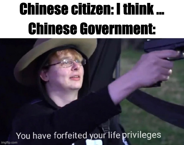 China's government be like | Chinese citizen: I think ... Chinese Government: | image tagged in you have forfeited life privileges | made w/ Imgflip meme maker