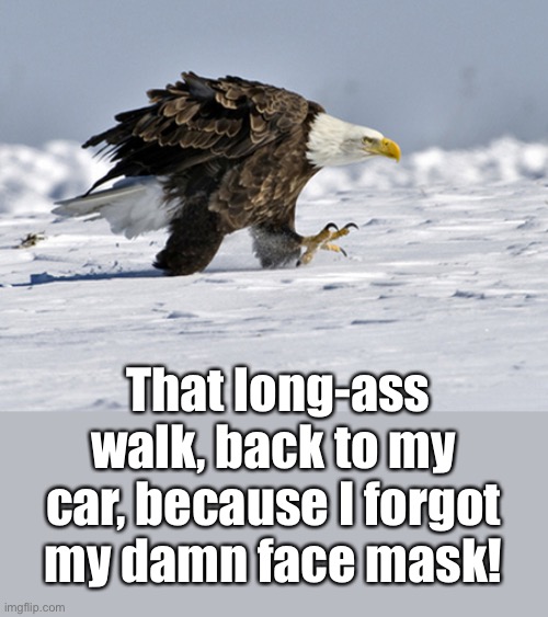 Mandatory Face Masks | That long-ass walk, back to my car, because I forgot my damn face mask! | image tagged in funny meme,face mask,eagle,walking | made w/ Imgflip meme maker