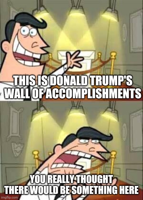 Timmy Turner`s Dad | THIS IS DONALD TRUMP'S WALL OF ACCOMPLISHMENTS; YOU REALLY THOUGHT THERE WOULD BE SOMETHING HERE | image tagged in timmy turner s dad | made w/ Imgflip meme maker