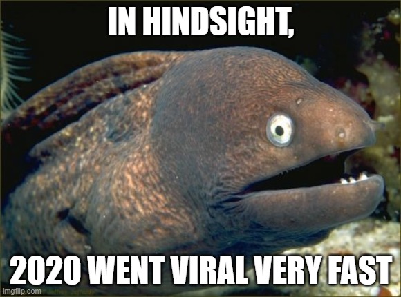Bad Joke Eel Meme | IN HINDSIGHT, 2020 WENT VIRAL VERY FAST | image tagged in memes,bad joke eel | made w/ Imgflip meme maker