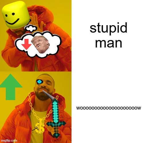 Drake Hotline Bling Meme | stupid man; woooooooooooooooooooow | image tagged in memes,drake hotline bling | made w/ Imgflip meme maker