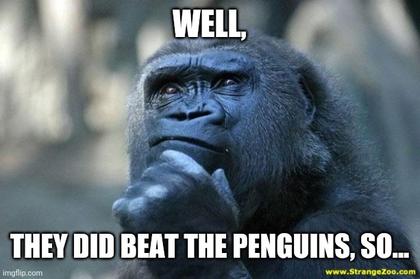 Deep Thoughts | WELL, THEY DID BEAT THE PENGUINS, SO... | image tagged in deep thoughts | made w/ Imgflip meme maker