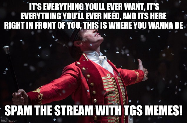Barnum The Greatest Showman | IT'S EVERYTHING YOULL EVER WANT, IT'S EVERYTHING YOU'LL EVER NEED, AND ITS HERE RIGHT IN FRONT OF YOU, THIS IS WHERE YOU WANNA BE; SPAM THE STREAM WITH TGS MEMES! | image tagged in barnum the greatest showman | made w/ Imgflip meme maker