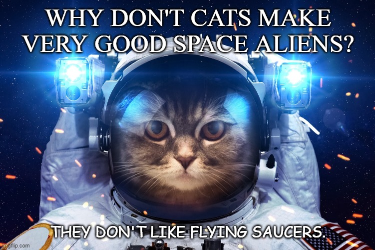 Daily Bad Dad Joke August 21 2020 | WHY DON'T CATS MAKE VERY GOOD SPACE ALIENS? THEY DON'T LIKE FLYING SAUCERS. | image tagged in space cat 2 | made w/ Imgflip meme maker