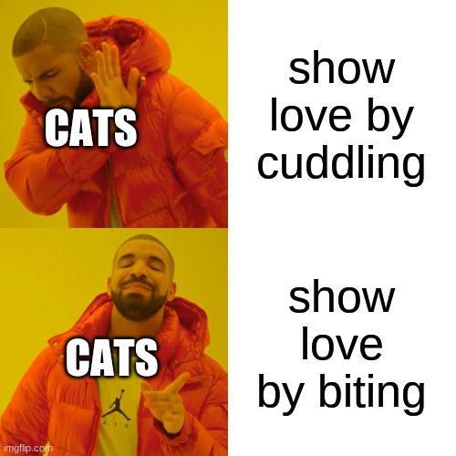Drake Hotline Bling Meme | show love by cuddling show love by biting CATS CATS | image tagged in memes,drake hotline bling | made w/ Imgflip meme maker