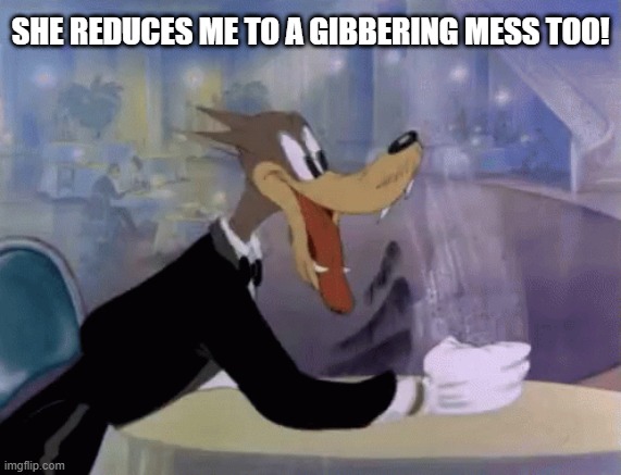 SHE REDUCES ME TO A GIBBERING MESS TOO! | made w/ Imgflip meme maker