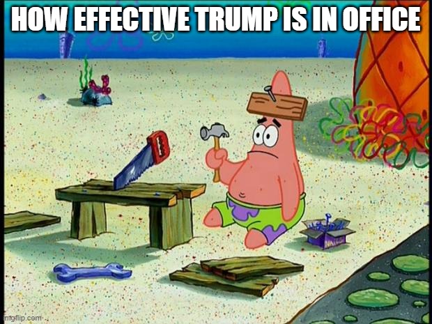 Patrick  | HOW EFFECTIVE TRUMP IS IN OFFICE | image tagged in patrick | made w/ Imgflip meme maker