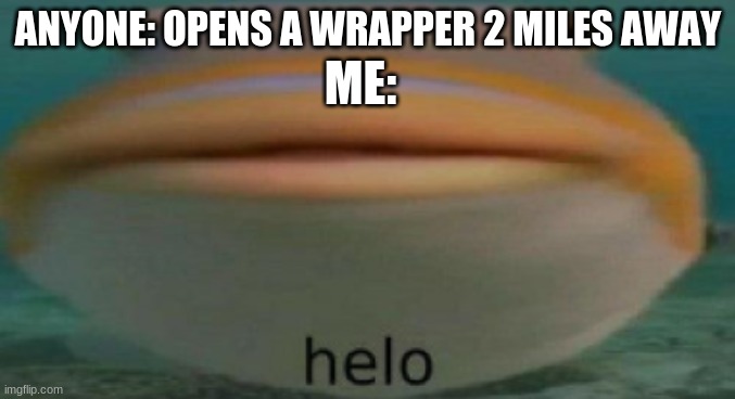 helo | ANYONE: OPENS A WRAPPER 2 MILES AWAY; ME: | image tagged in helo | made w/ Imgflip meme maker