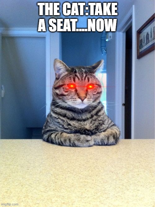 Take A Seat Cat | THE CAT:TAKE A SEAT....NOW | image tagged in memes,take a seat cat | made w/ Imgflip meme maker