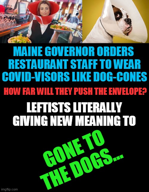 What Next? Astronaut Spacesuits? | MAINE GOVERNOR ORDERS 
RESTAURANT STAFF TO WEAR

COVID-VISORS LIKE DOG-CONES; HOW FAR WILL THEY PUSH THE ENVELOPE? LEFTISTS LITERALLY 

GIVING NEW MEANING TO; GONE TO THE DOGS... | image tagged in politics,political meme,democratic socialism,liberalism,control,seriously wtf | made w/ Imgflip meme maker