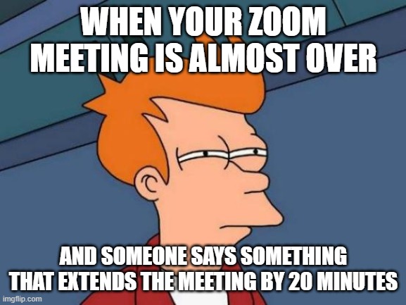 Futurama Fry Meme | WHEN YOUR ZOOM MEETING IS ALMOST OVER; AND SOMEONE SAYS SOMETHING THAT EXTENDS THE MEETING BY 20 MINUTES | image tagged in memes,futurama fry | made w/ Imgflip meme maker