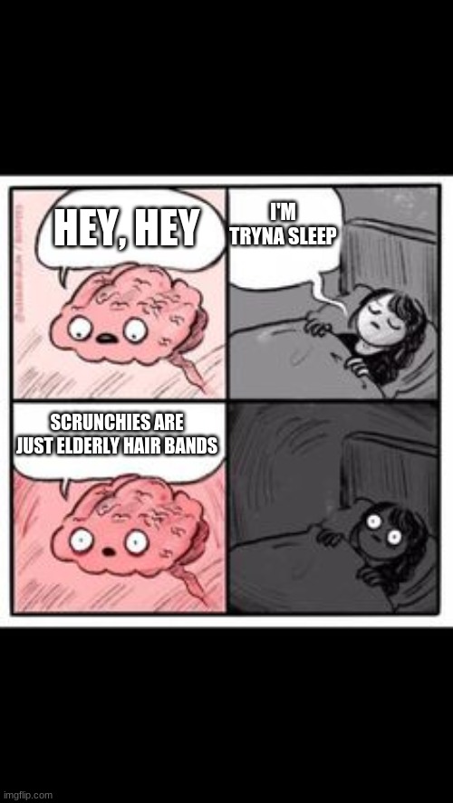 Get it? Because the wrinkles? | HEY, HEY; I'M TRYNA SLEEP; SCRUNCHIES ARE JUST ELDERLY HAIR BANDS | image tagged in memes | made w/ Imgflip meme maker