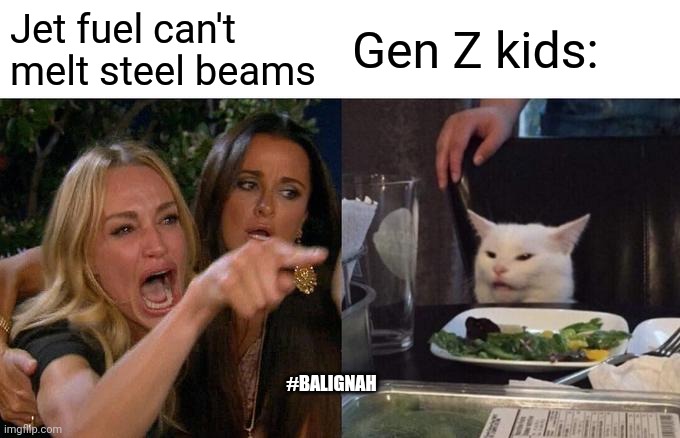 911 ppl | Jet fuel can't melt steel beams; Gen Z kids:; #BALIGNAH | image tagged in memes,woman yelling at cat,911,conspiracy,original meme | made w/ Imgflip meme maker