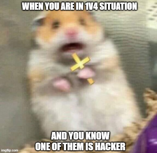 CSGO Meme | WHEN YOU ARE IN 1V4 SITUATION; AND YOU KNOW ONE OF THEM IS HACKER | image tagged in scared hamster with cross | made w/ Imgflip meme maker