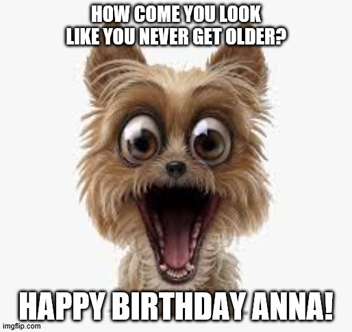 surprised puppy | HOW COME YOU LOOK LIKE YOU NEVER GET OLDER? HAPPY BIRTHDAY ANNA! | image tagged in surprised puppy | made w/ Imgflip meme maker