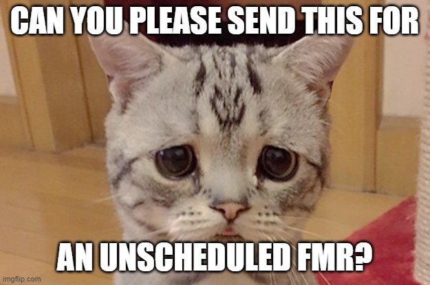 Final Manuscript Review | CAN YOU PLEASE SEND THIS FOR; AN UNSCHEDULED FMR? | image tagged in sad cat | made w/ Imgflip meme maker