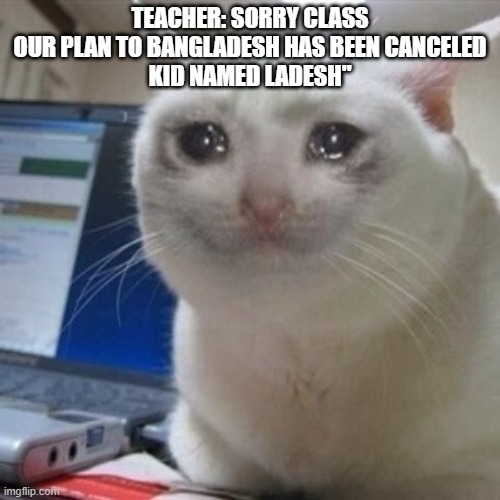 Crying cat | TEACHER: SORRY CLASS OUR PLAN TO BANGLADESH HAS BEEN CANCELED
KID NAMED LADESH" | image tagged in crying cat | made w/ Imgflip meme maker