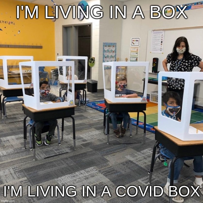 I'm Living In A Box, I'm Living In A Covid Box | I'M LIVING IN A BOX; I'M LIVING IN A COVID BOX | image tagged in living,box,covid,cardboard,school,facemask | made w/ Imgflip meme maker