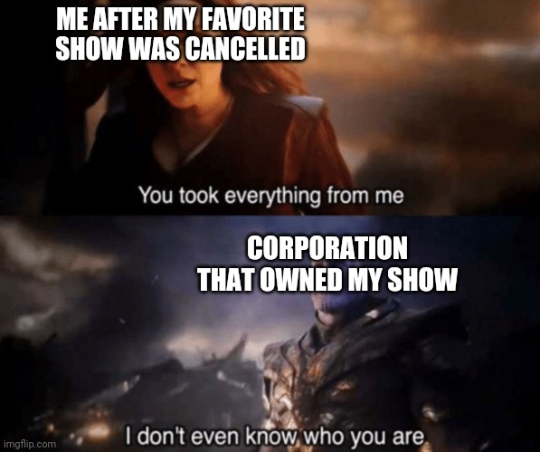 You took everything from me - I don't even know who you are | ME AFTER MY FAVORITE SHOW WAS CANCELLED; CORPORATION THAT OWNED MY SHOW | image tagged in you took everything from me - i don't even know who you are | made w/ Imgflip meme maker