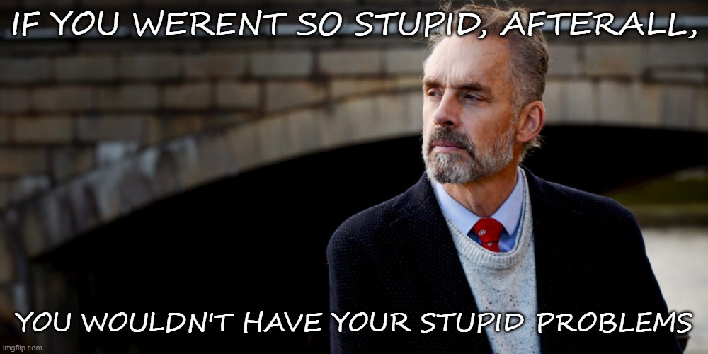 Jordan Peterson | IF YOU WERENT SO STUPID, AFTERALL, YOU WOULDN'T HAVE YOUR STUPID PROBLEMS | image tagged in jordan peterson | made w/ Imgflip meme maker
