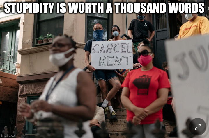 Cancel Rent A New Level Of Stupidity | STUPIDITY IS WORTH A THOUSAND WORDS | image tagged in rent,democrats,blm,protests,stupidity | made w/ Imgflip meme maker