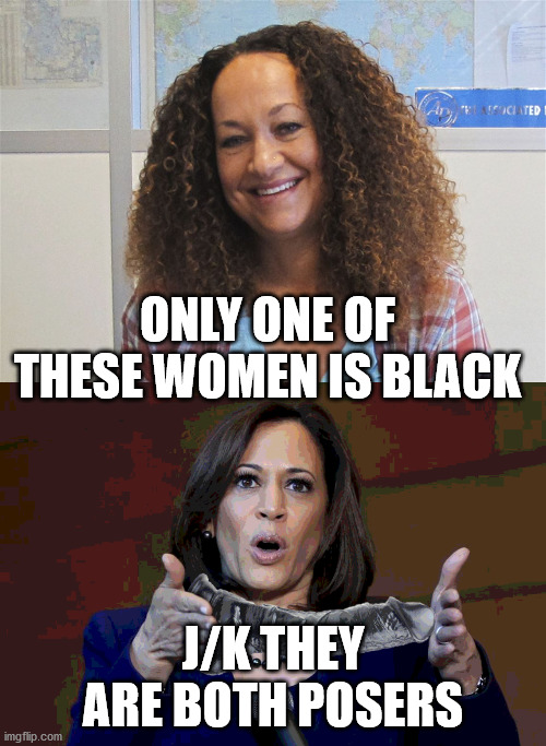 Two of a Kind | ONLY ONE OF THESE WOMEN IS BLACK; J/K THEY ARE BOTH POSERS | image tagged in kalama's time,rachel dolezal | made w/ Imgflip meme maker