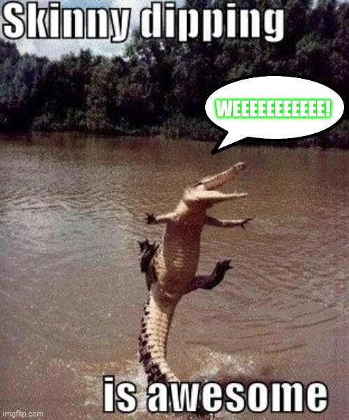 Gator don't give a dang | WEEEEEEEEEEE! | image tagged in alligator,gator,swimming | made w/ Imgflip meme maker