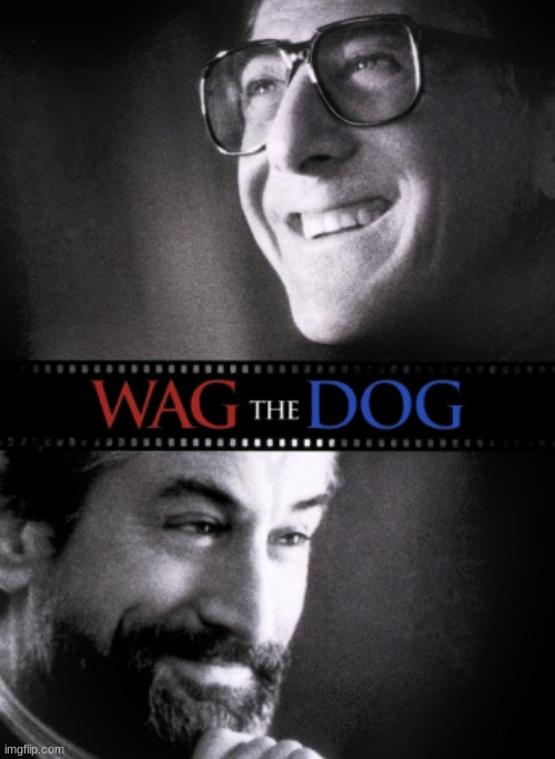 Didn't really get it... :/ | image tagged in wag the dog,movies,dustin hoffman,robert de niro,anne heche,woody harrelson | made w/ Imgflip meme maker