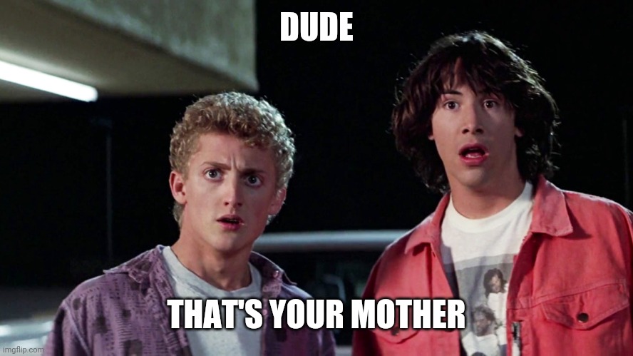 Bill and ted | DUDE THAT'S YOUR MOTHER | image tagged in bill and ted | made w/ Imgflip meme maker