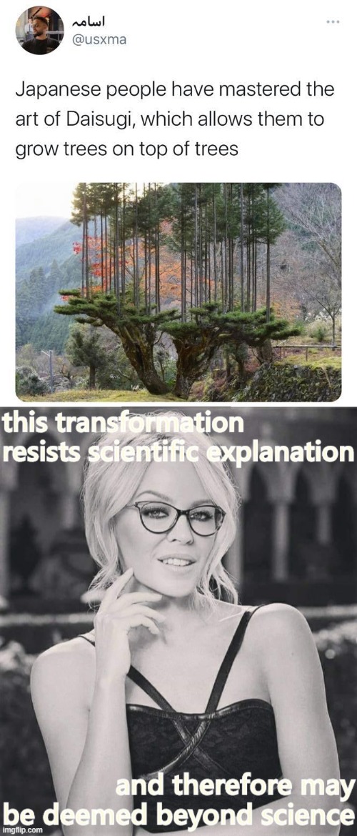 meanwhile in Japan | image tagged in kylie this is beyond science,meanwhile in japan,japan,why japan,this is beyond science,trees | made w/ Imgflip meme maker
