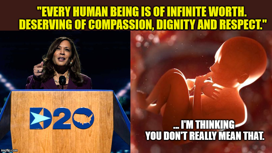At least Trump says what he means. | "EVERY HUMAN BEING IS OF INFINITE WORTH. 
DESERVING OF COMPASSION, DIGNITY AND RESPECT."; ... I'M THINKING 
YOU DON'T REALLY MEAN THAT. | image tagged in thinking fetus,kamala harris,liberal logic,pro life,maga,trump 2020 | made w/ Imgflip meme maker