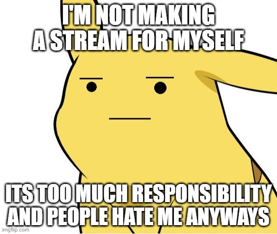 I love this template | I'M NOT MAKING A STREAM FOR MYSELF; ITS TOO MUCH RESPONSIBILITY AND PEOPLE HATE ME ANYWAYS | image tagged in pikachu is not amused | made w/ Imgflip meme maker