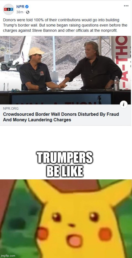 These idiots deserve to be scammed. OVER AND OVER. | TRUMPERS BE LIKE | image tagged in memes,surprised pikachu,trump lies,steve bannon | made w/ Imgflip meme maker