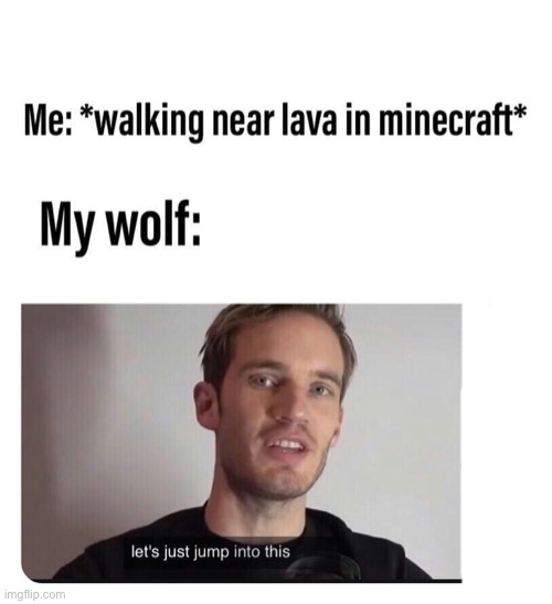 Let's jump into this! | image tagged in memes,funny,minecraft,wolf,pandaboyplaysyt | made w/ Imgflip meme maker