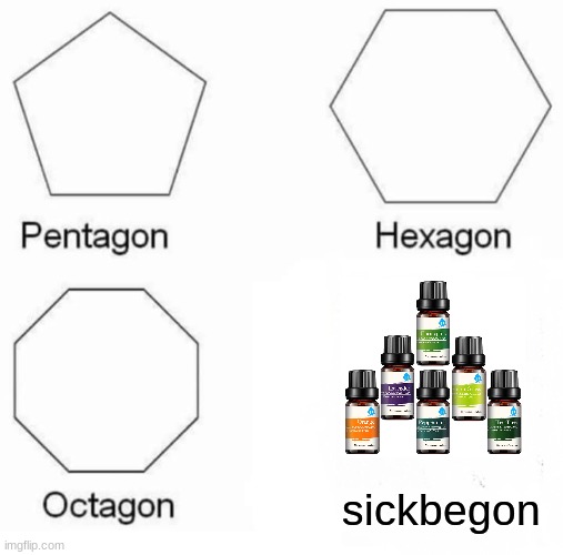 sickbegon | sickbegon | image tagged in memes,pentagon hexagon octagon | made w/ Imgflip meme maker