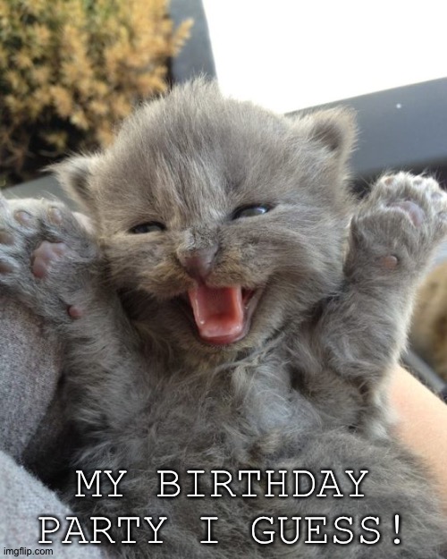 Everyone’s invited! | MY BIRTHDAY PARTY I GUESS! | image tagged in yay kitty | made w/ Imgflip meme maker
