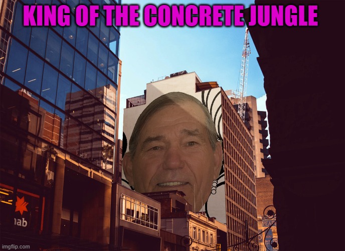 KING OF THE CONCRETE JUNGLE | made w/ Imgflip meme maker