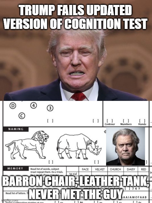 The true candidate of dementia | TRUMP FAILS UPDATED VERSION OF COGNITION TEST; BARRON CHAIR, LEATHER TANK,
NEVER MET THE GUY | image tagged in donald trump,dementia,steve bannon,election fraud | made w/ Imgflip meme maker