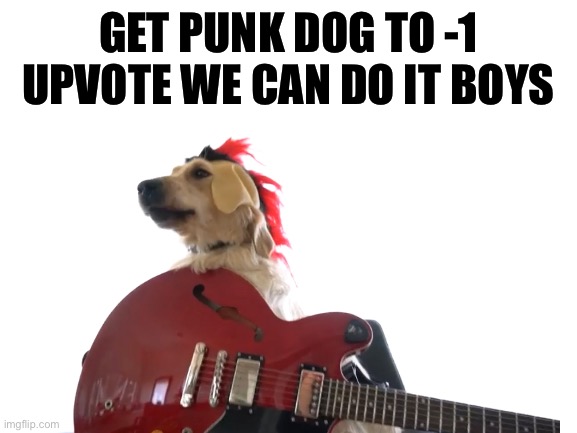 we can do it boys | GET PUNK DOG TO -1 UPVOTE WE CAN DO IT BOYS | image tagged in fun | made w/ Imgflip meme maker