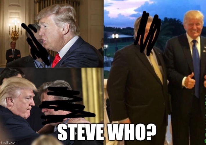 I Know Nothing A That Wall! | image tagged in donald trump,steve bannon,the wall,lock him up,trump supporters,scammers | made w/ Imgflip meme maker