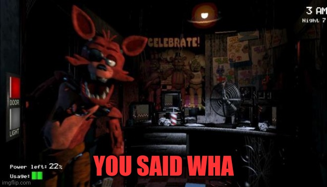Foxy Five Nights at Freddy's | YOU SAID WHA | image tagged in foxy five nights at freddy's | made w/ Imgflip meme maker