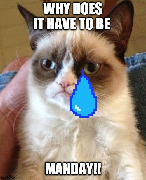 Grumpy Cat | WHY DOES IT HAVE TO BE; MANDAY!! | image tagged in memes,grumpy cat | made w/ Imgflip meme maker